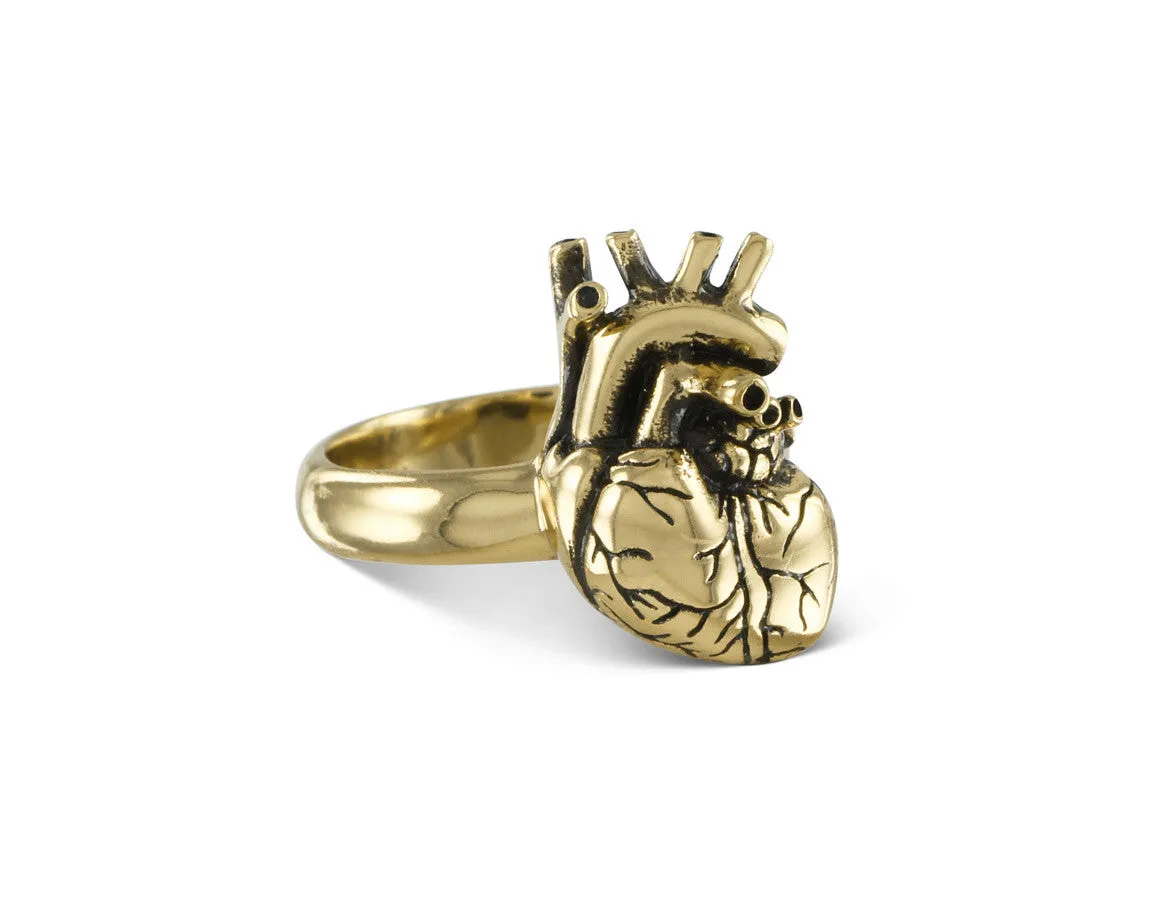 Anatomical Heart Ring - Bronze