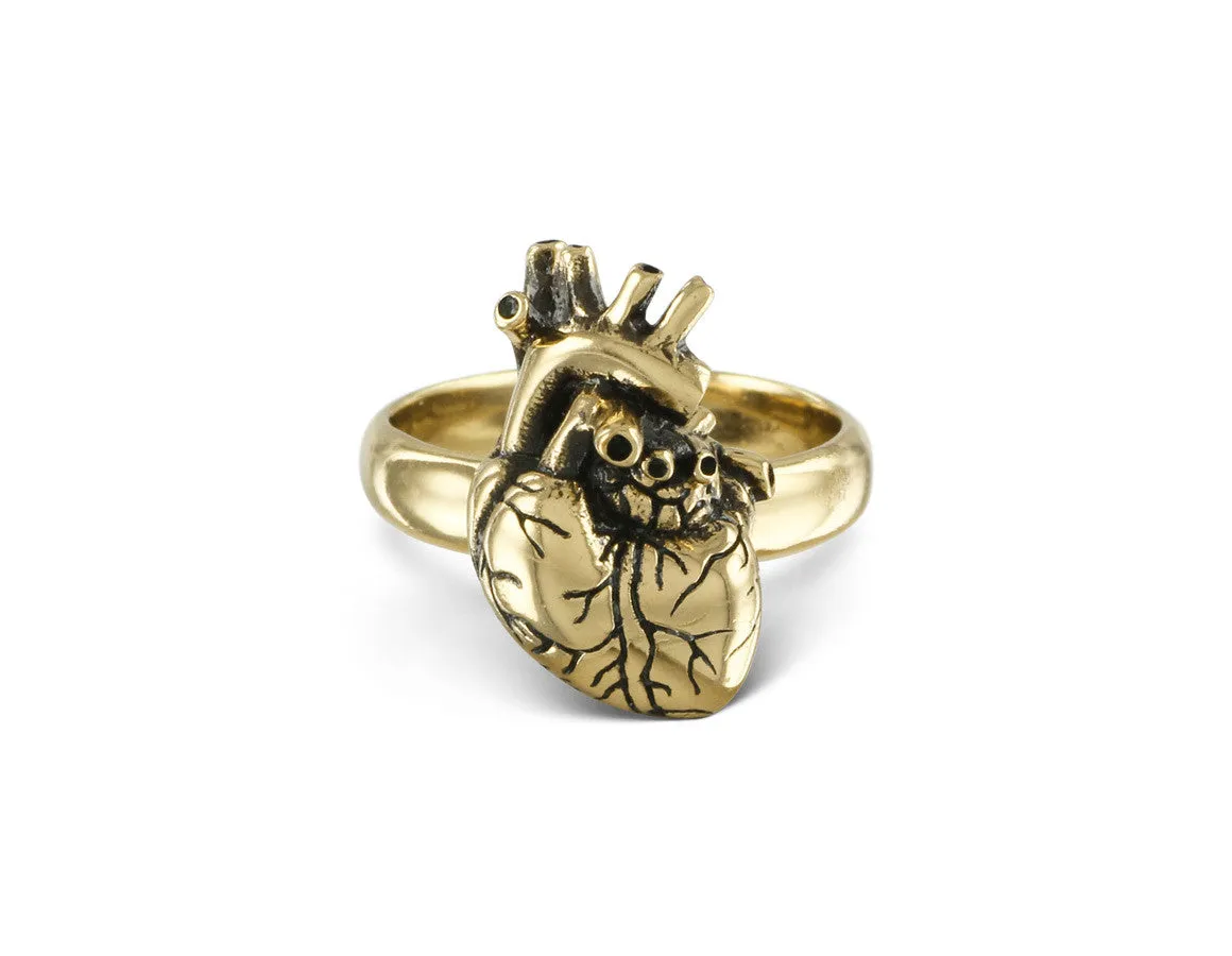 Anatomical Heart Ring - Bronze