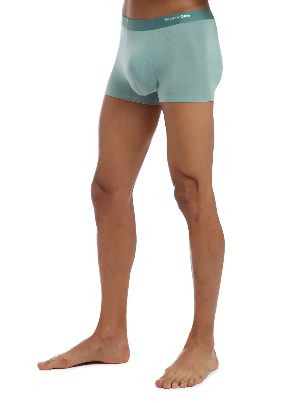 Aqua Gray low rise trunk