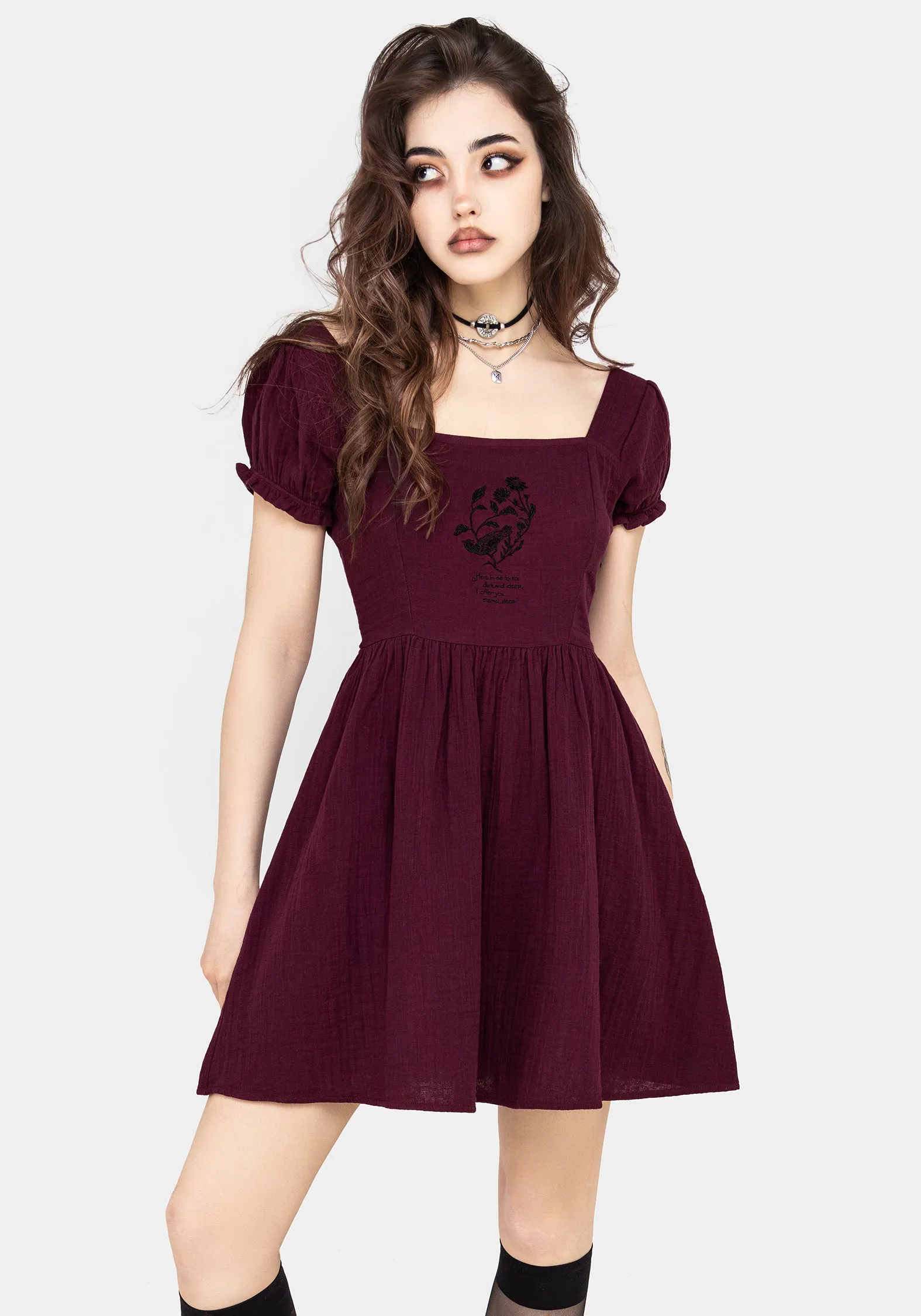 Frances Embroidered Cotton Mini Dress