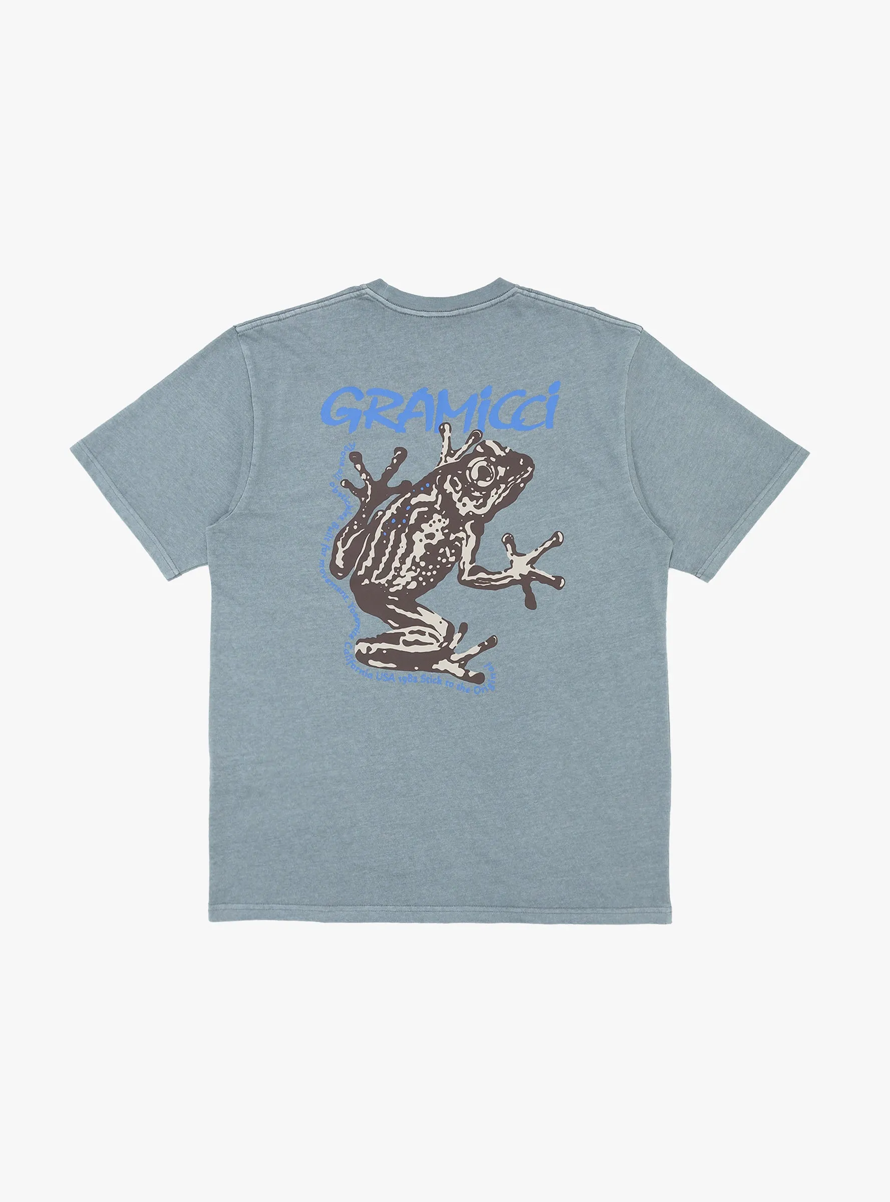 Sticky Frog T-shirt Slate Pigment