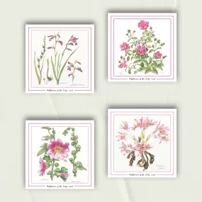 Wildflowers Notecards from Palestine | Set of 4 Greeting Cards in Pink